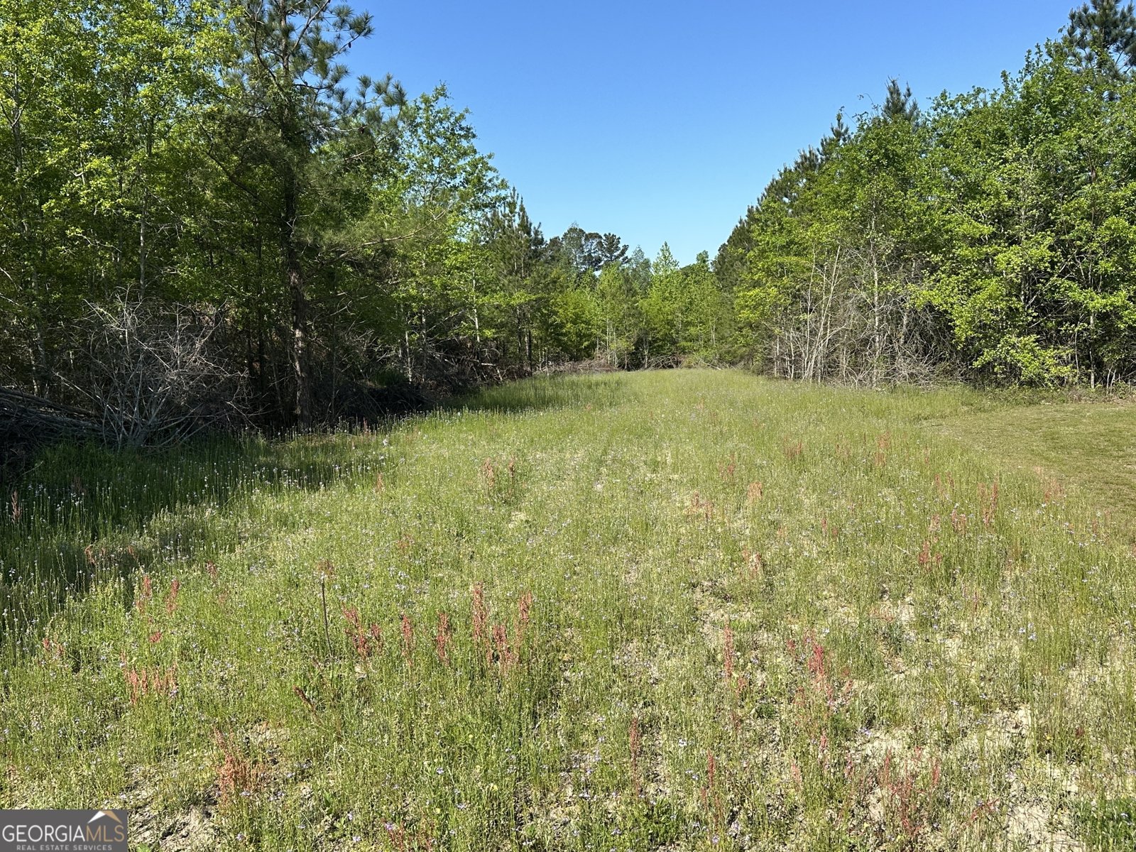 208 Oak Grove Lane Sylvania - 23