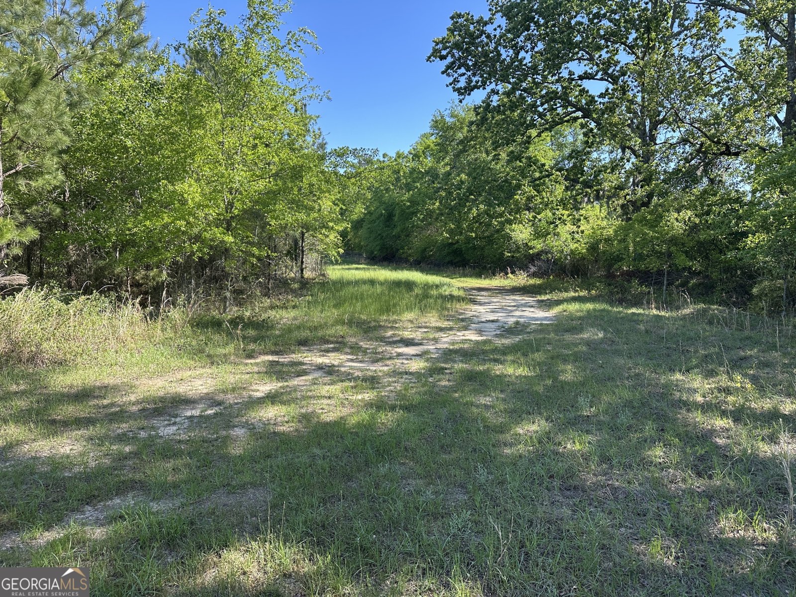 208 Oak Grove Lane Sylvania - 27