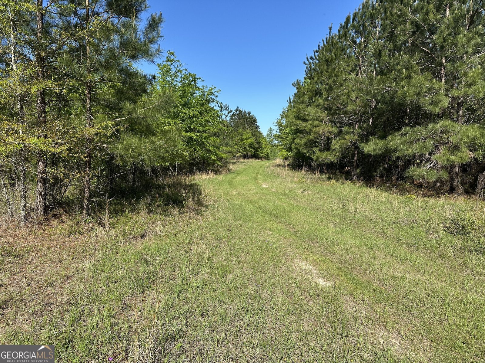 208 Oak Grove Lane Sylvania - 28