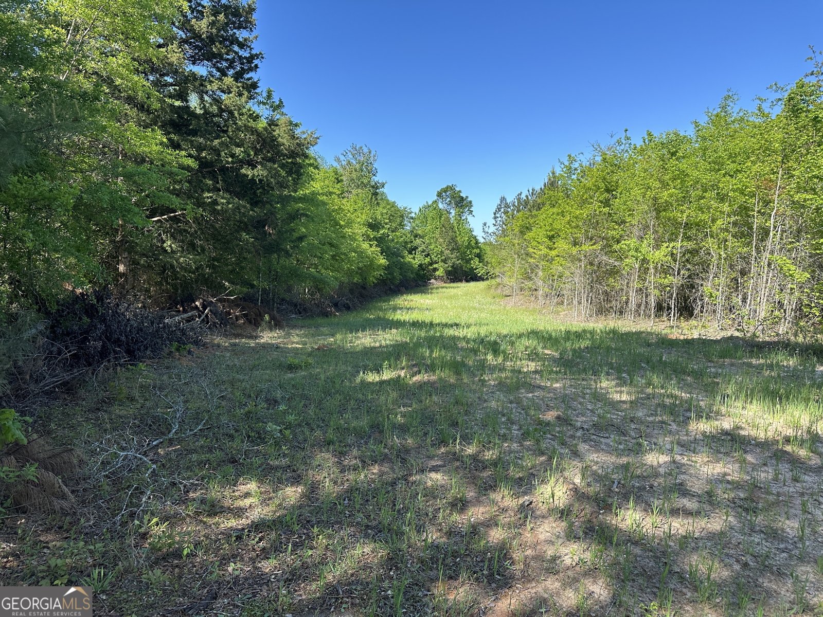 208 Oak Grove Lane Sylvania - 29