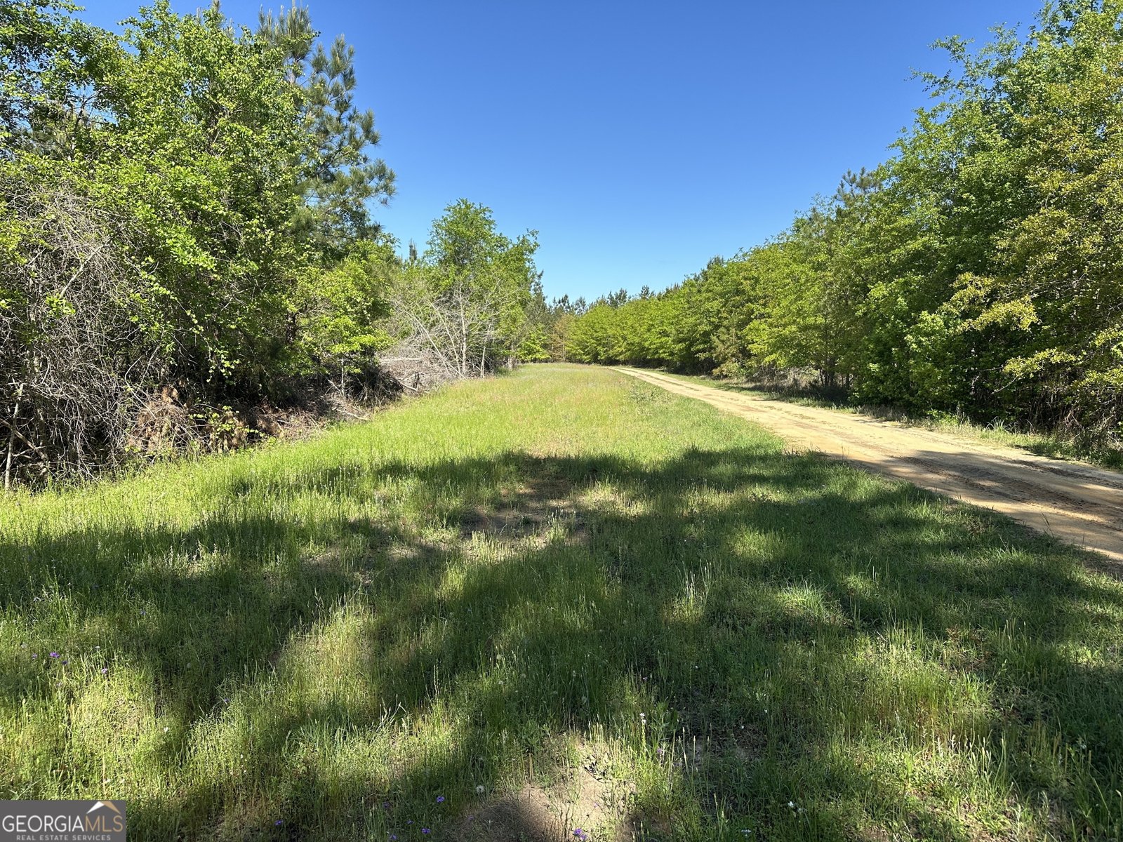 208 Oak Grove Lane Sylvania - 32