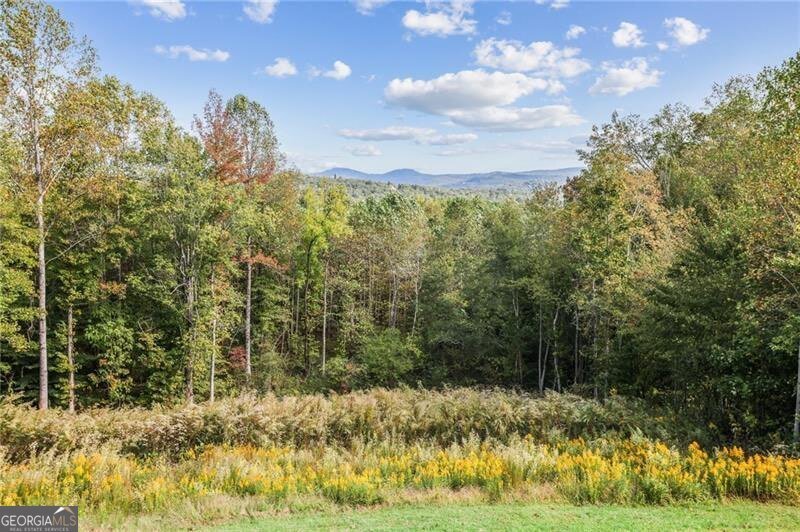 1656 Talking Rock Road Jasper - 18