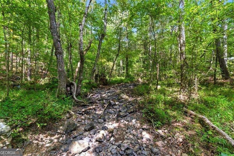 13 Elkhorn Court Adairsville - 27