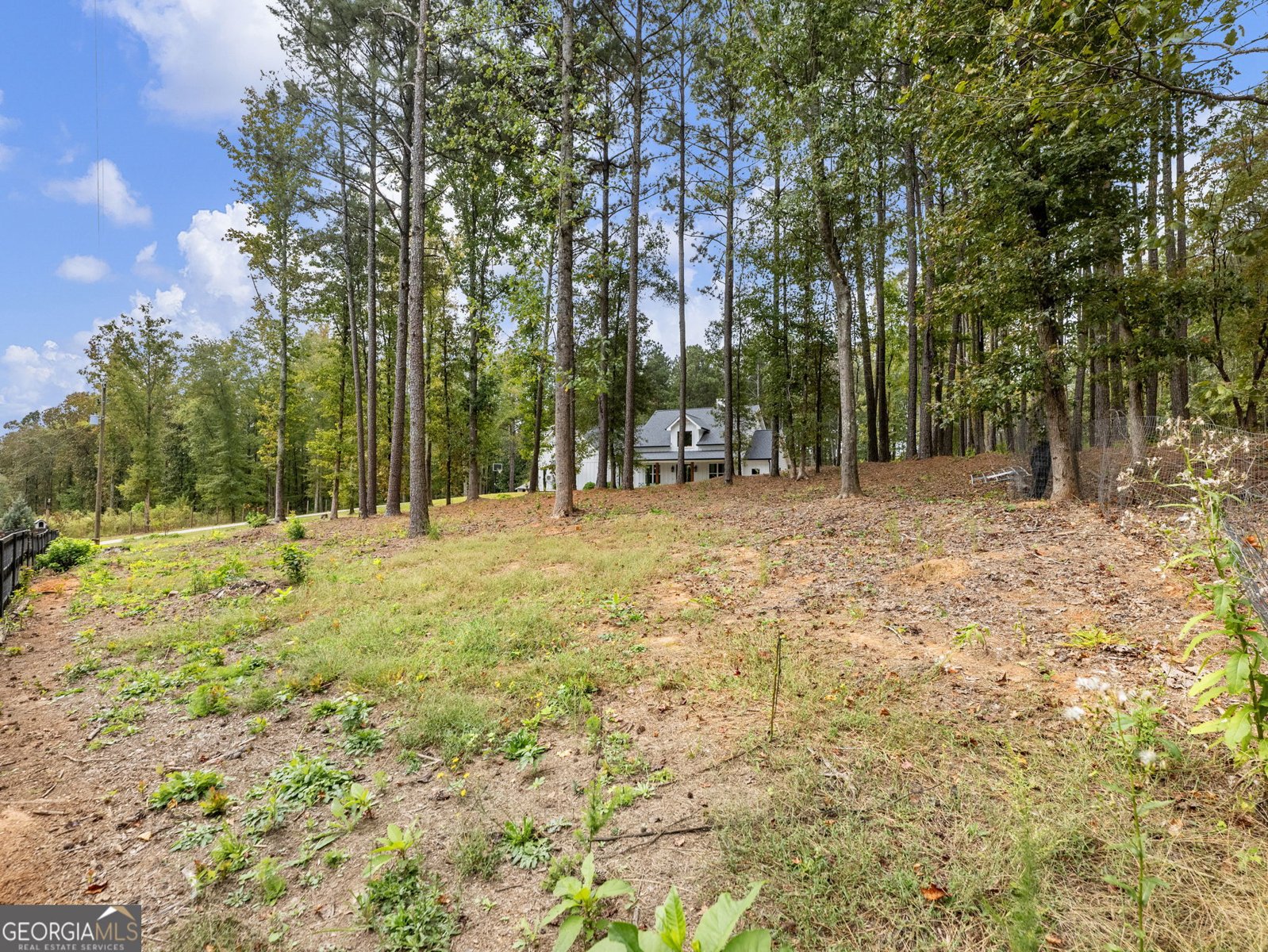 367 Chandler Road Auburn - 60