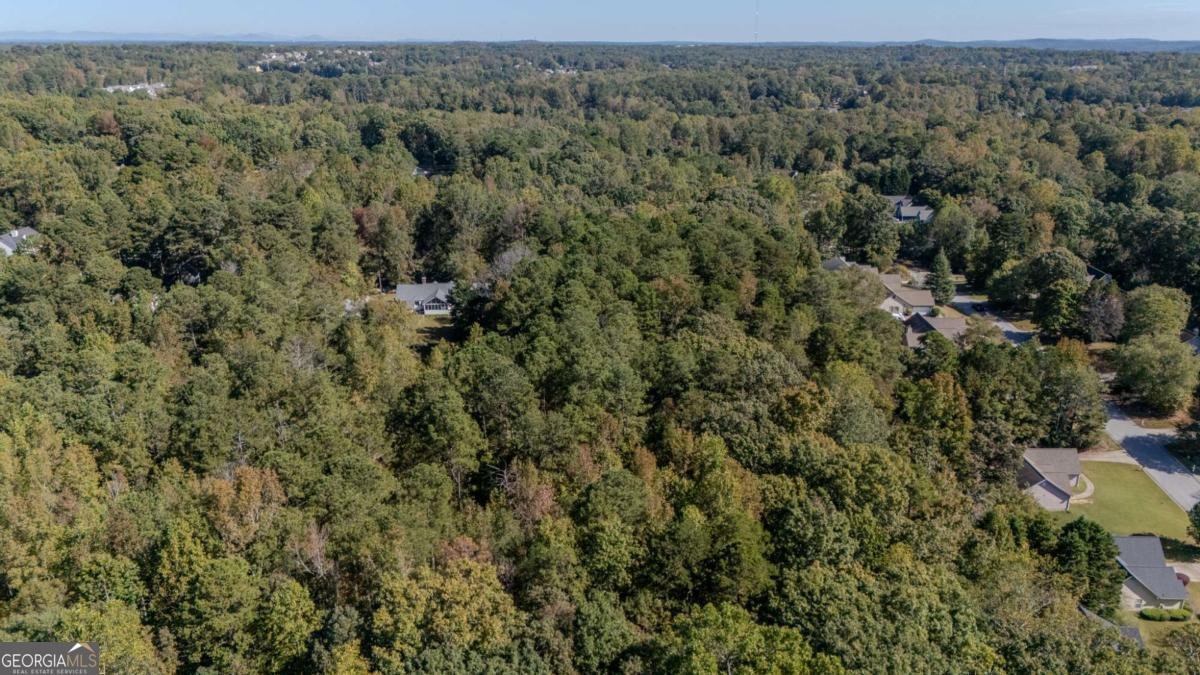 2997 Spring Lake Drive Buford - 51
