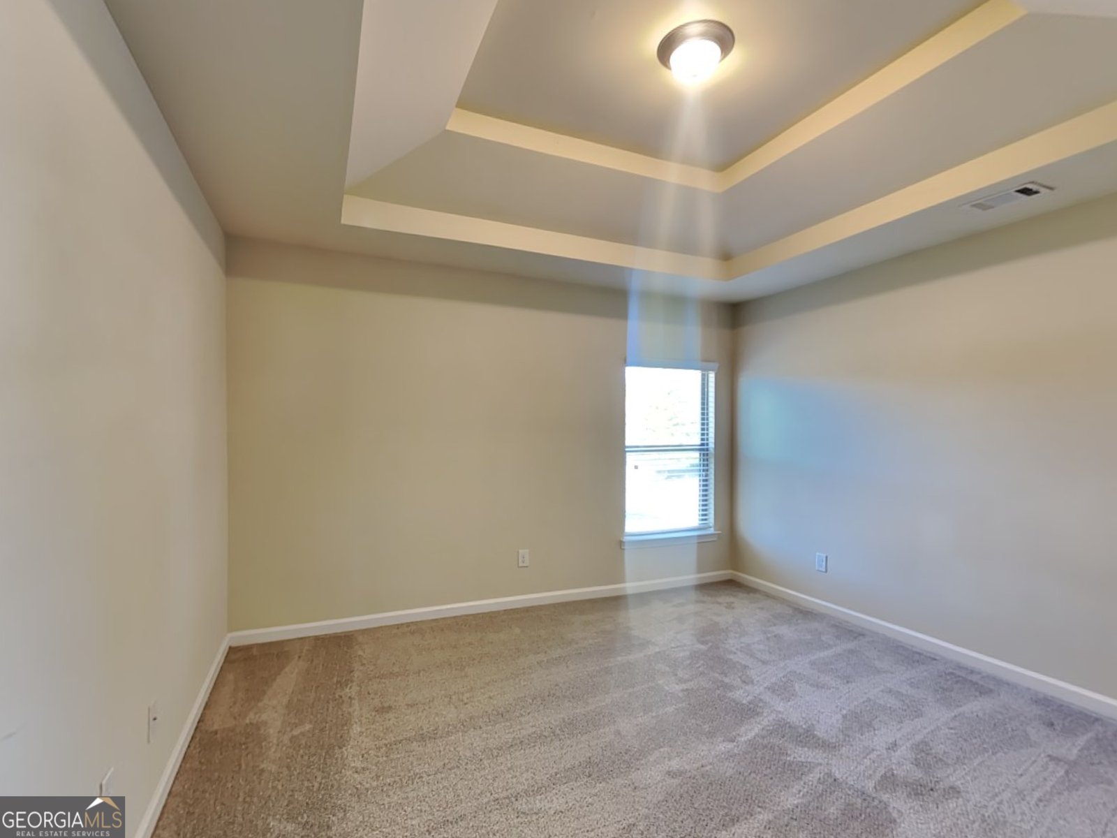 969 Spanish Moss Trail Loganville - 19