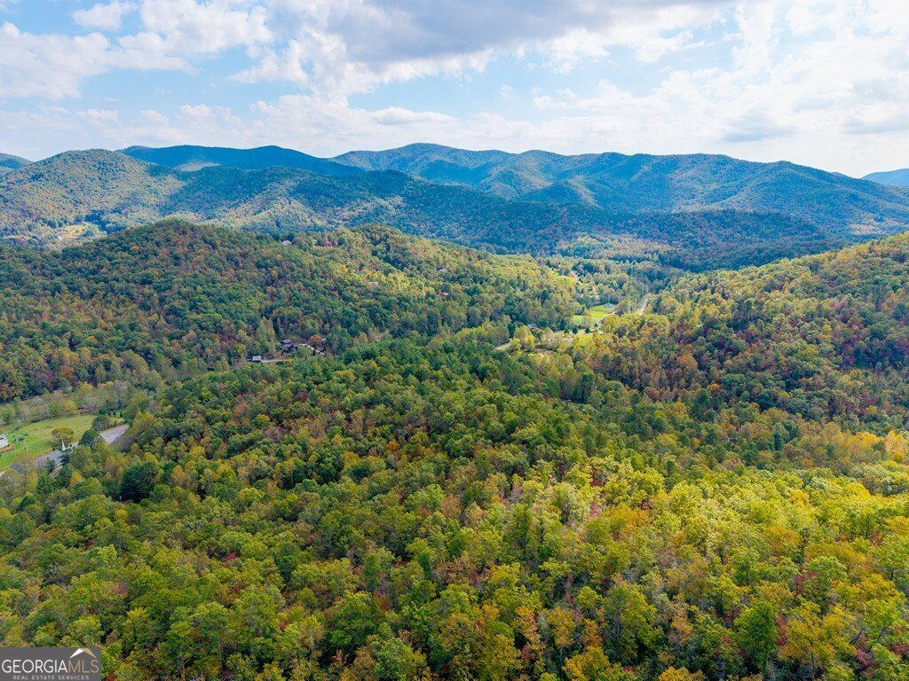 20 Eagle Heights Road Hiawassee - 41