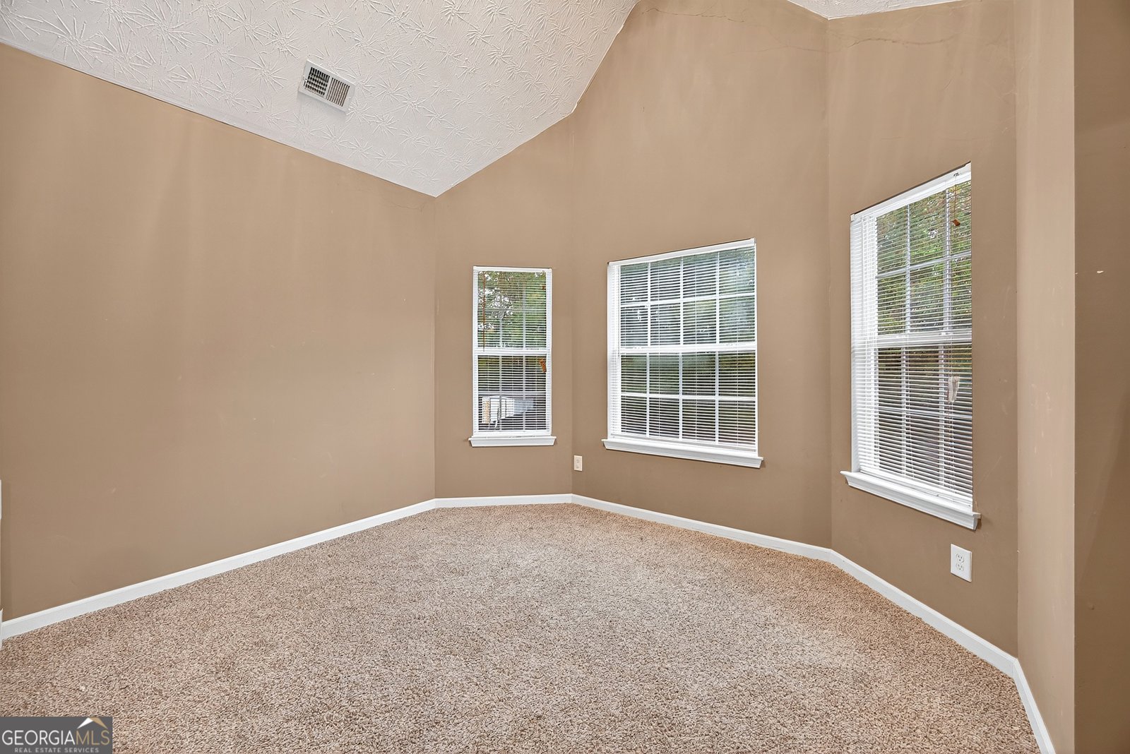 2430 Napa Valley Drive Villa Rica - 16