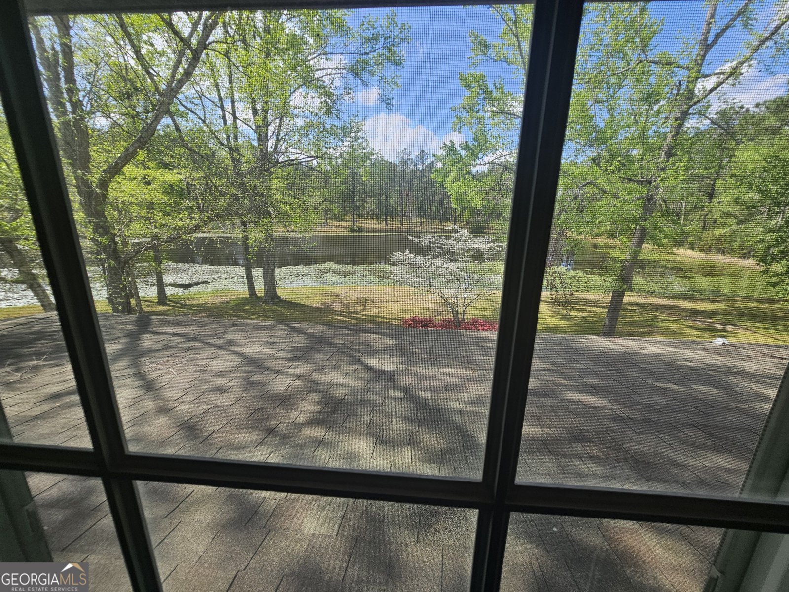 87 Georgia Avenue Adrian - 50