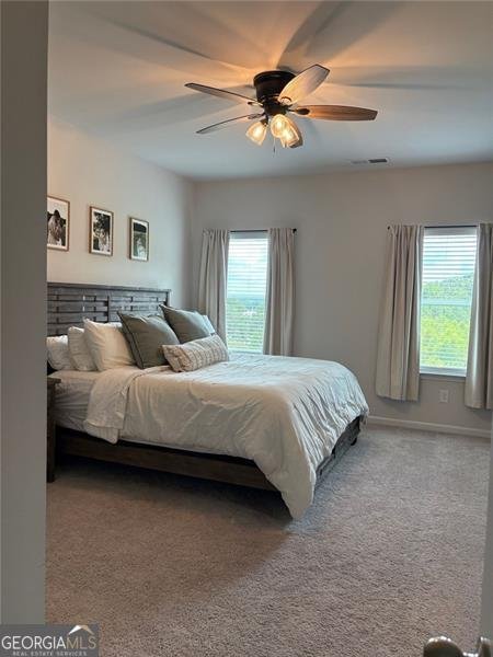 91 PINNACLE Jasper - 11