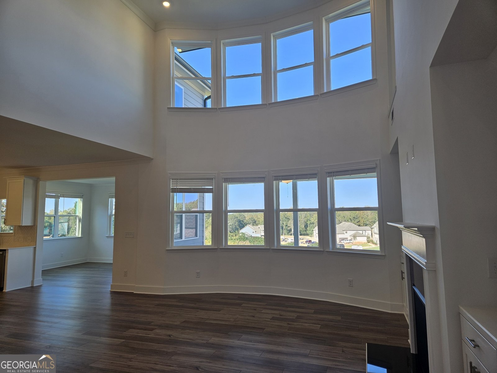 273 Deer Valley Run Canton - 3