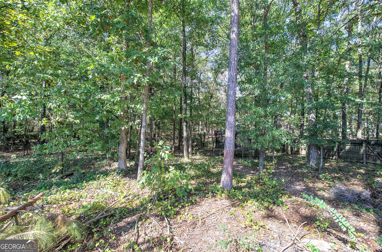 19 Lowry Way Euharlee - 70