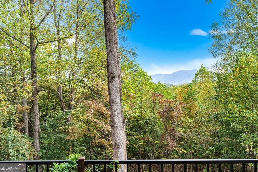 82 Hebron Way Young Harris - 31