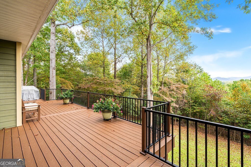 82 Hebron Way Young Harris - 33