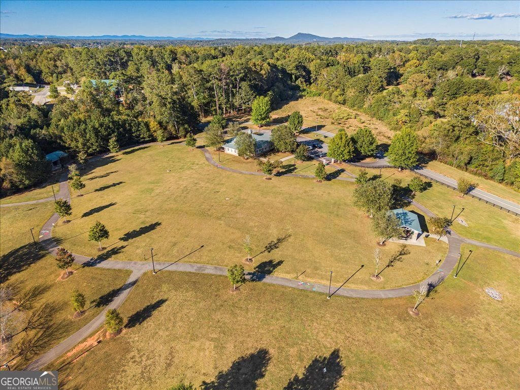 7170 Cornflower Court Cumming - 12