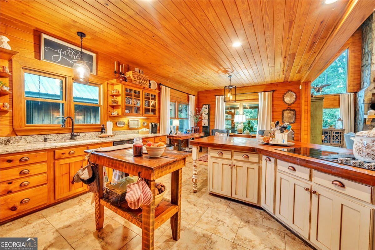 568 Hopewell Church Road Rhine - 11