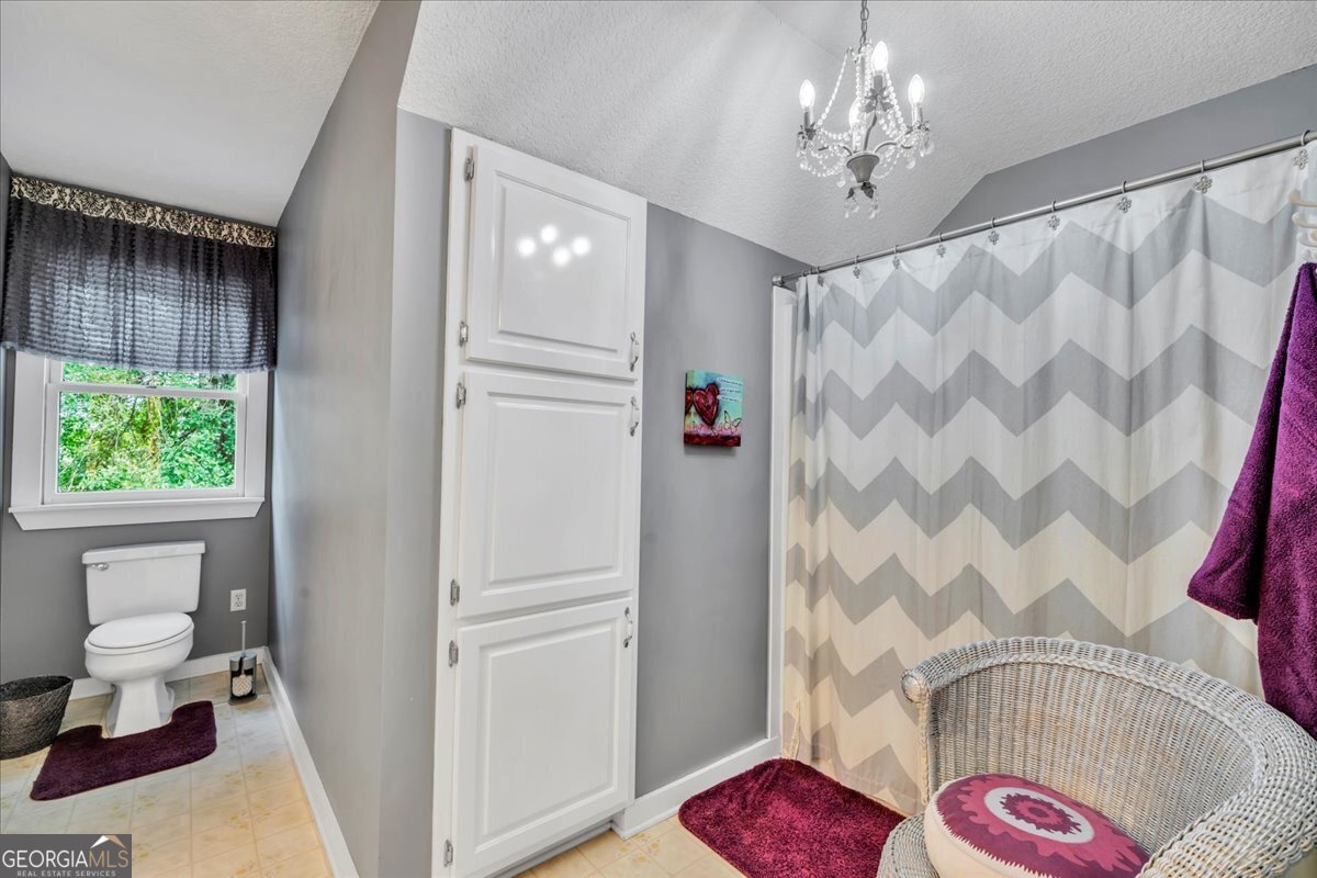 568 Hopewell Church Road Rhine - 33