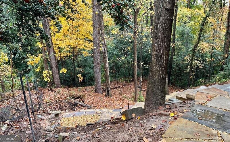 1719 Pine Ridge Drive Atlanta - 53