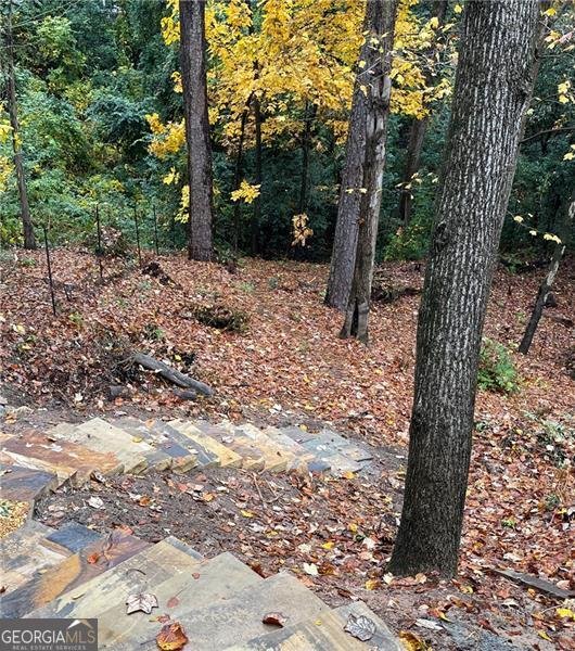 1719 Pine Ridge Drive Atlanta - 54
