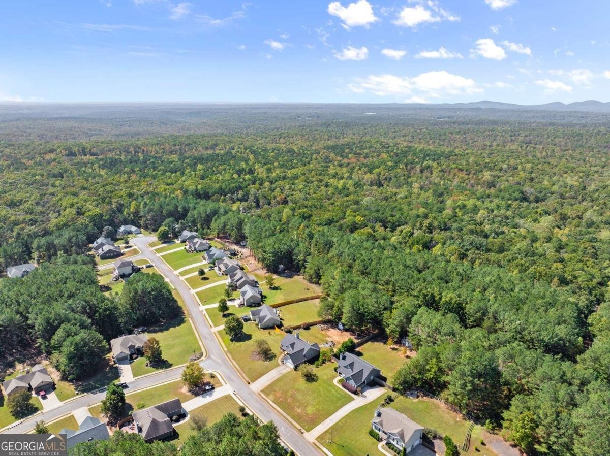322 Miller Drive Dawsonville - 23