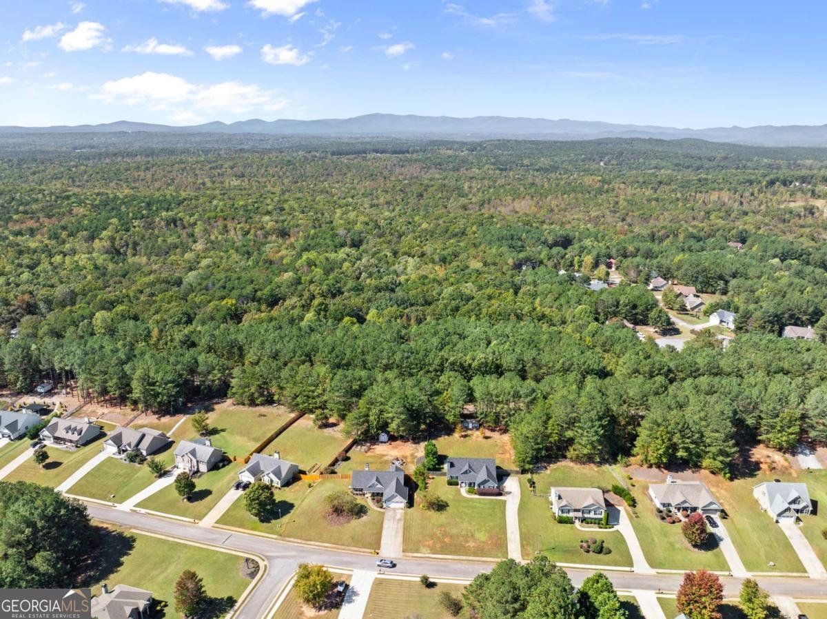 322 Miller Drive Dawsonville - 24