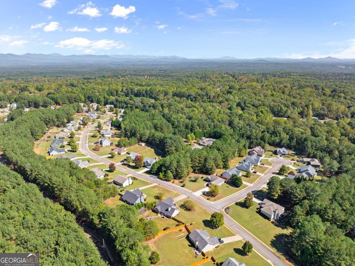 322 Miller Drive Dawsonville - 25
