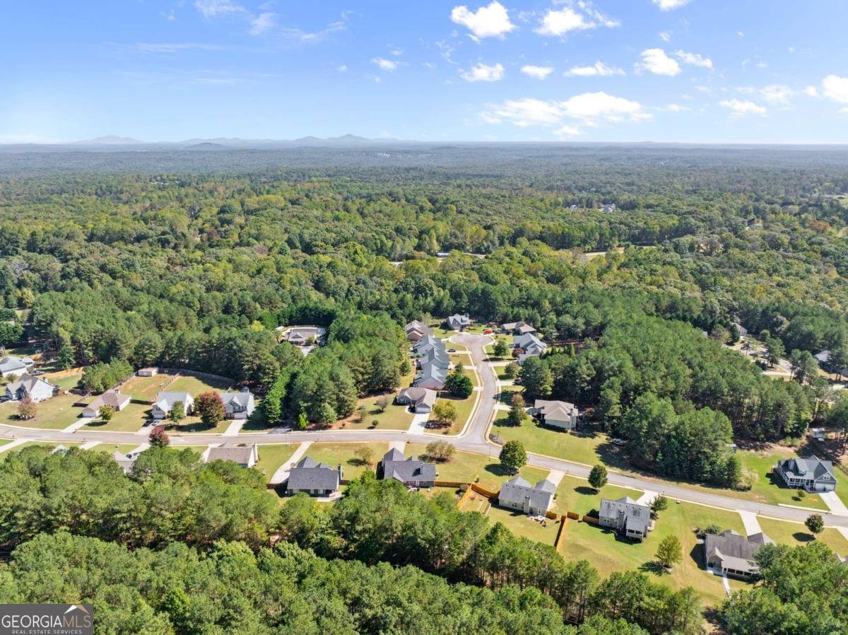 322 Miller Drive Dawsonville - 26