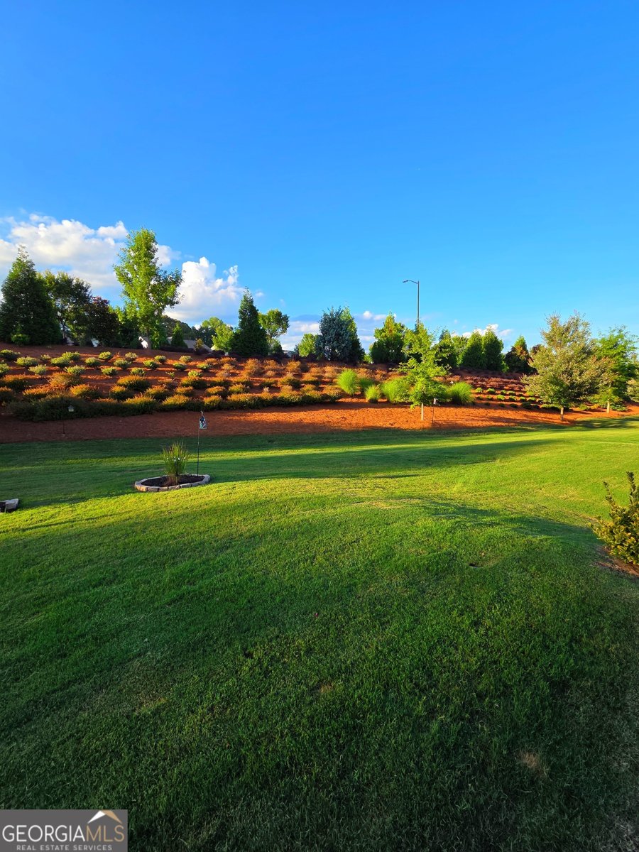 5644 Tisbury Court Hoschton - 10