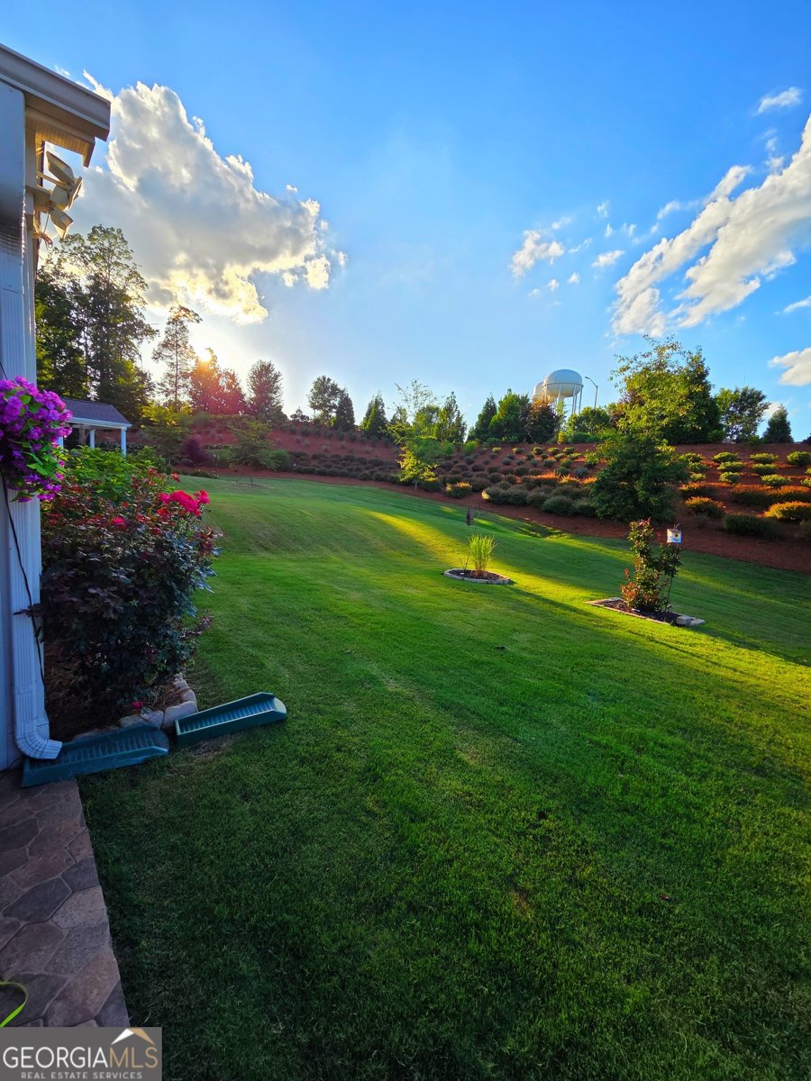 5644 Tisbury Court Hoschton - 9