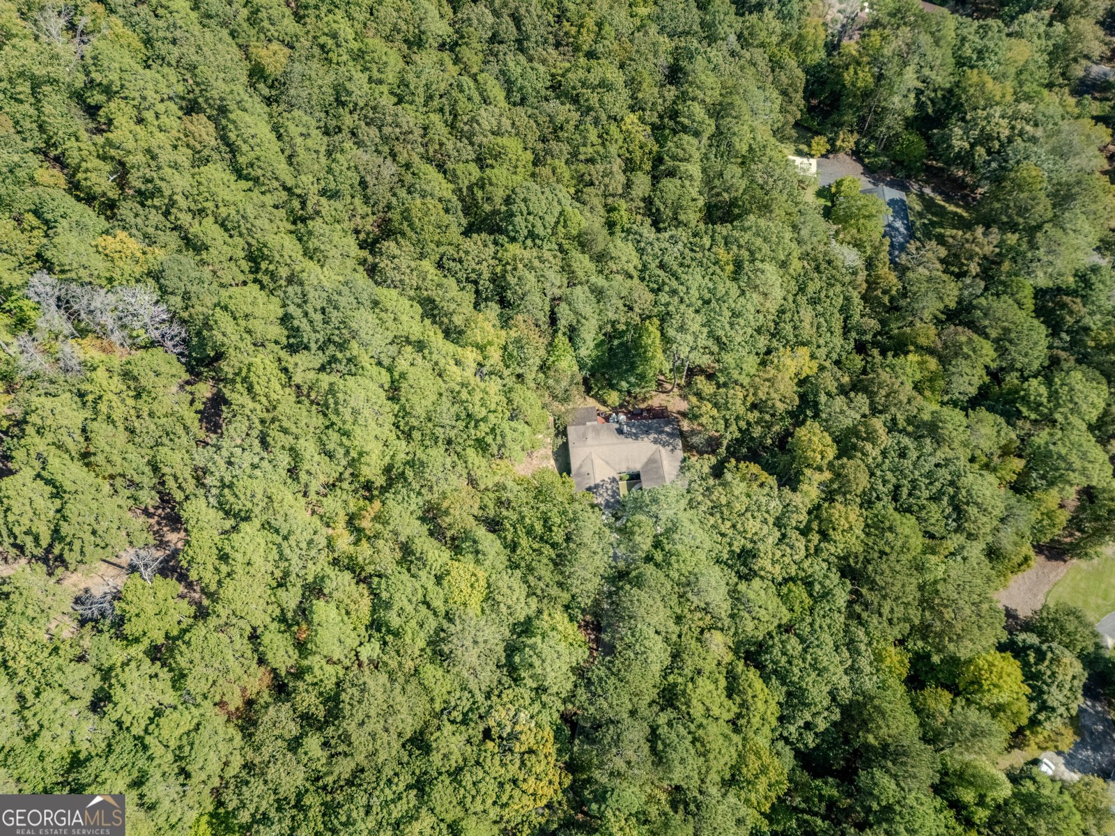 186 Fairview Drive Rome - 39
