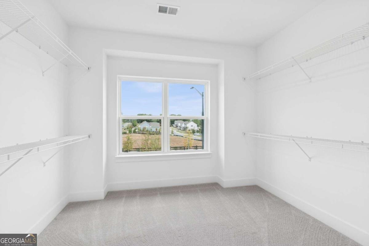 202 Wild Ginger Bend Woodstock - 17