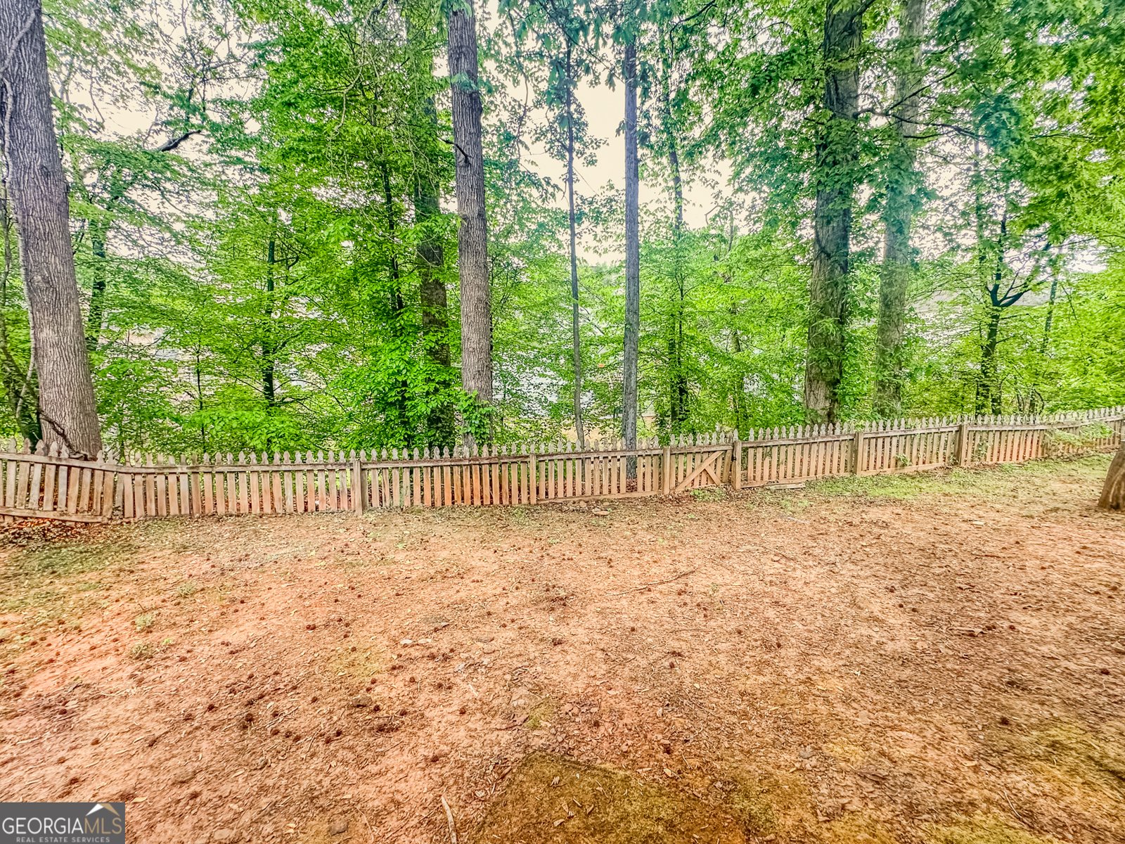 1485 Oglethorpe Run Lane Suwanee - 18