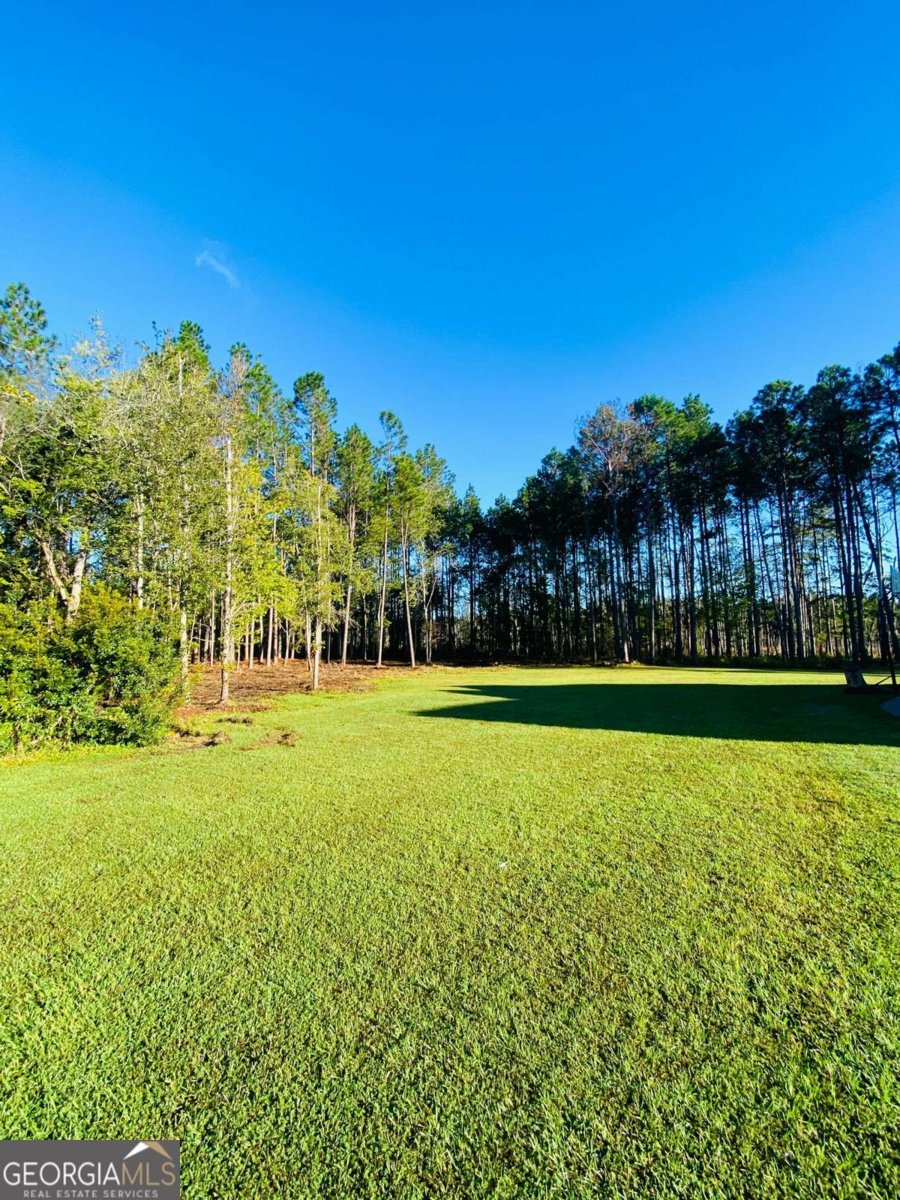120 Bluff Oak Drive Brooklet - 2