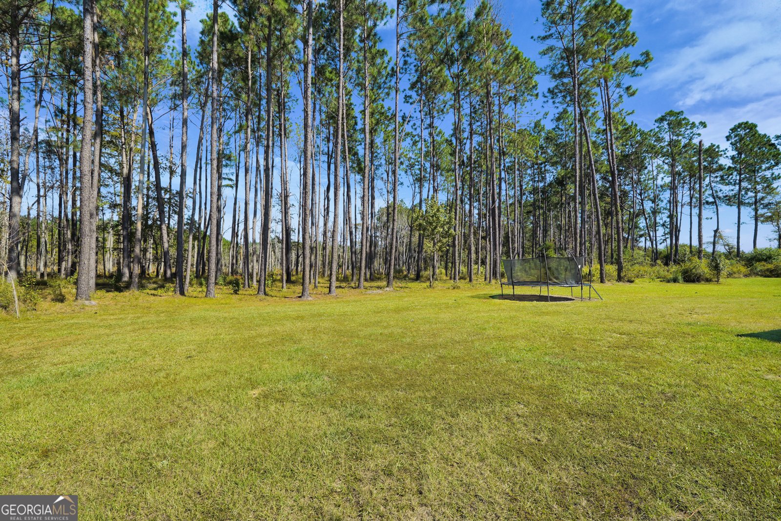 120 Bluff Oak Drive Brooklet - 62