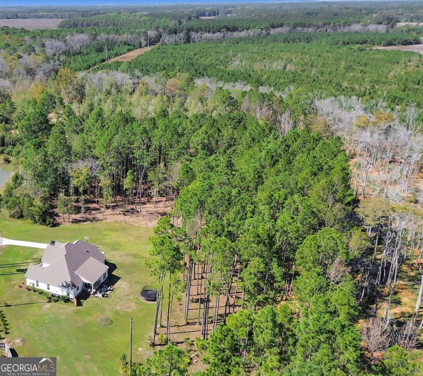 120 Bluff Oak Drive Brooklet - 64