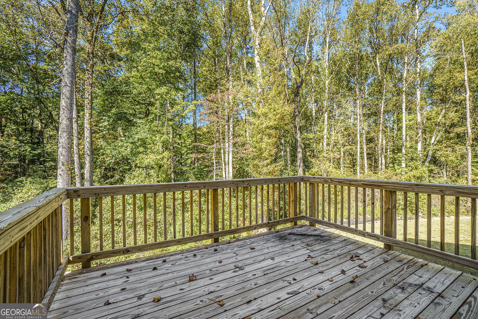 2230 Highridge Point Drive Lithia Springs - 2