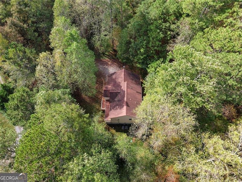 80 CASTLE Court Ellijay - 38