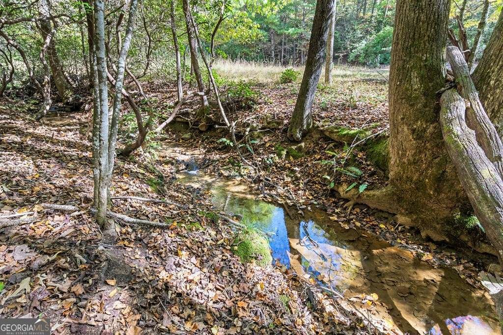 217 Goldmine Road Morganton - 45