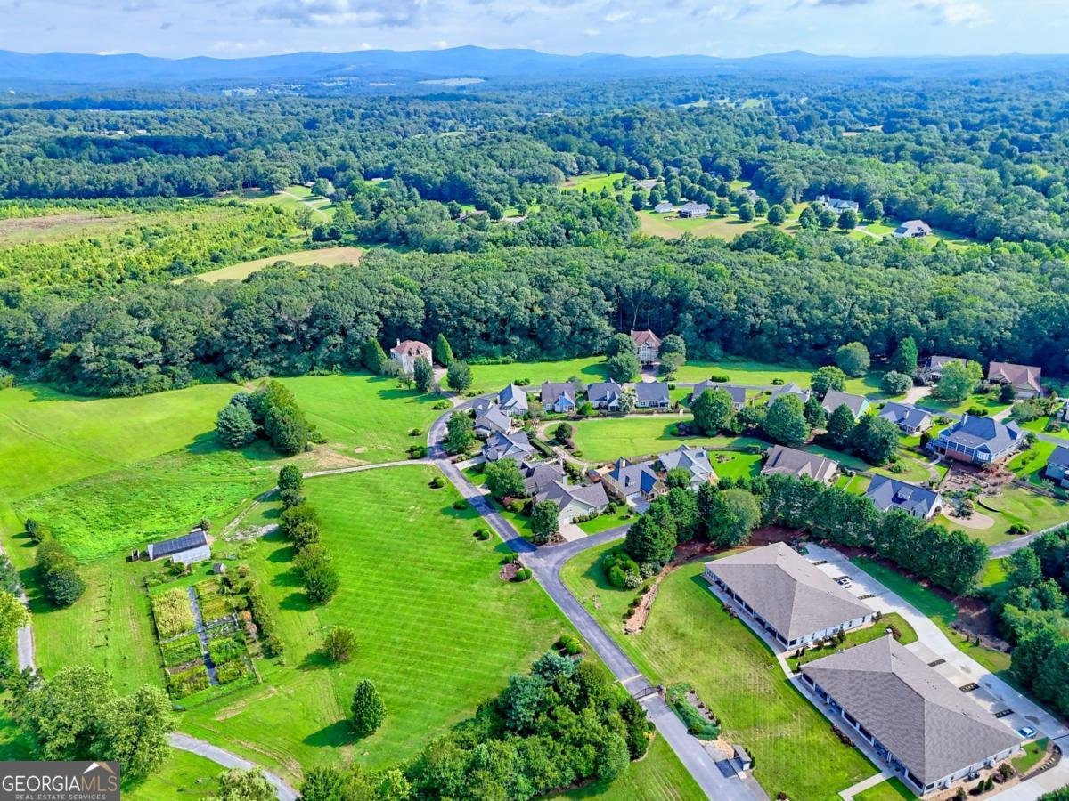 117 Village Green Way Clarkesville - 2