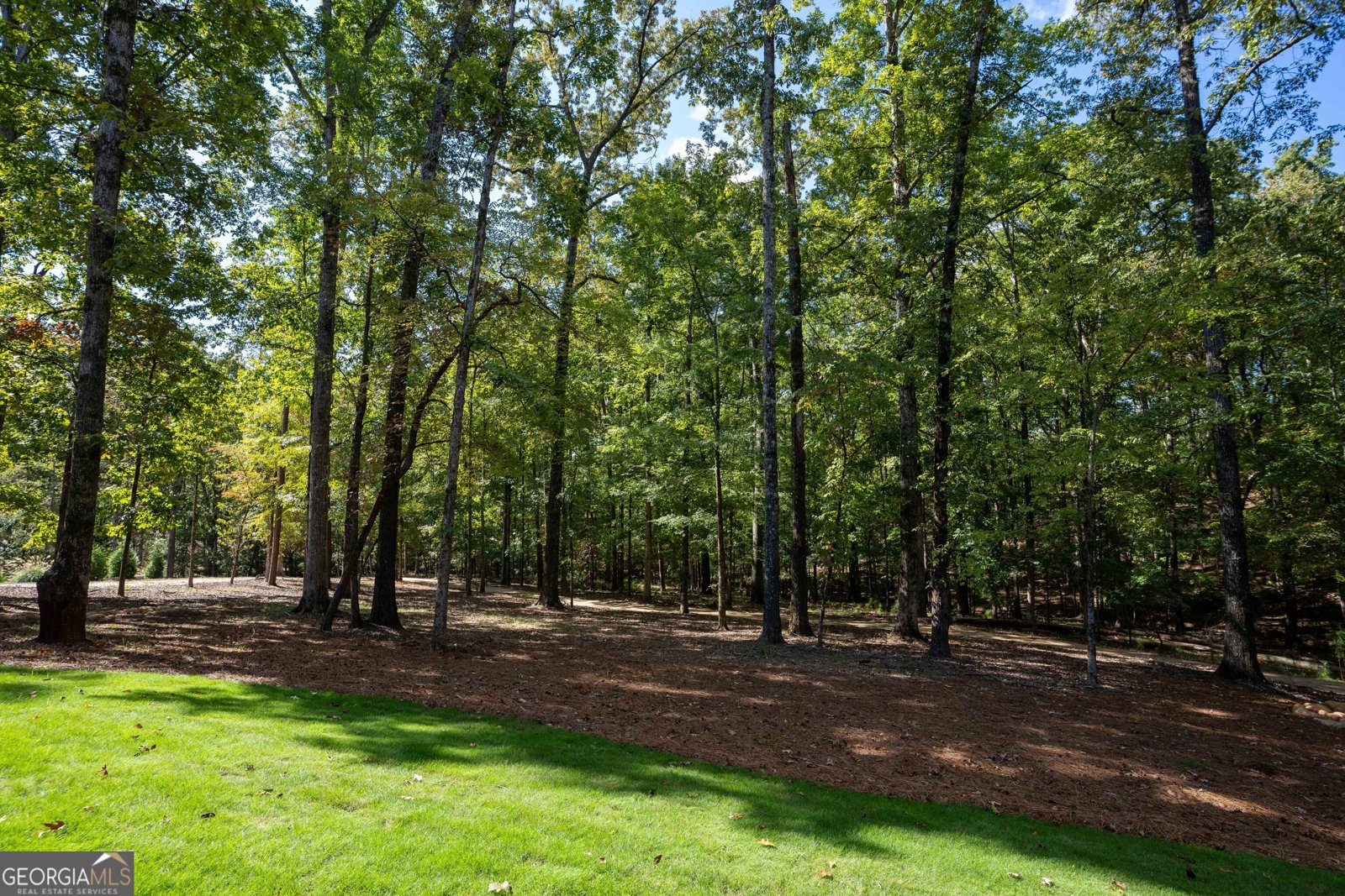 1091 High Bluff Lane Greensboro - 57