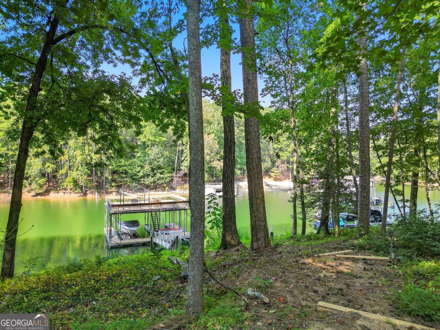 1025 Timber Lake Trail Cumming - 5
