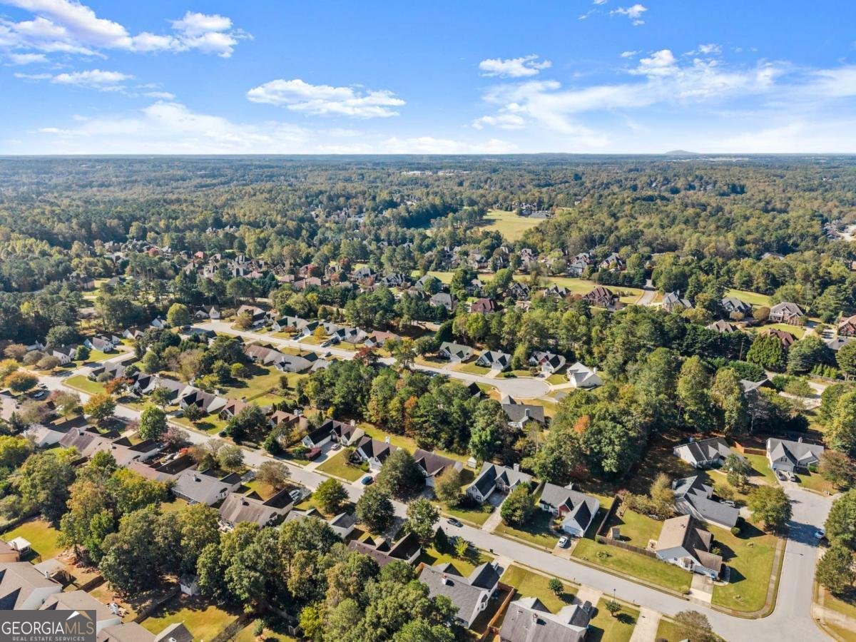 1032 Harbins Pass Drive Dacula - 43