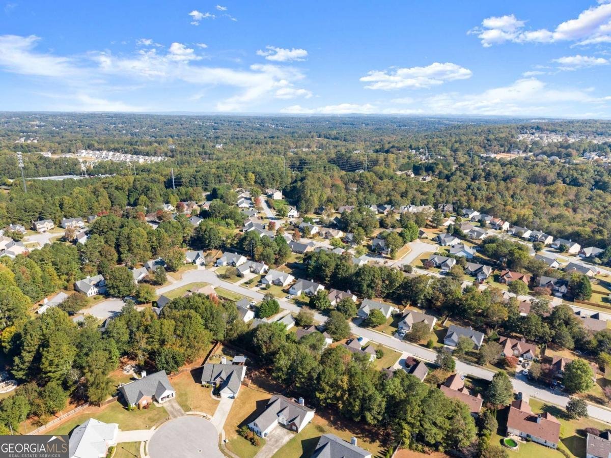 1032 Harbins Pass Drive Dacula - 45