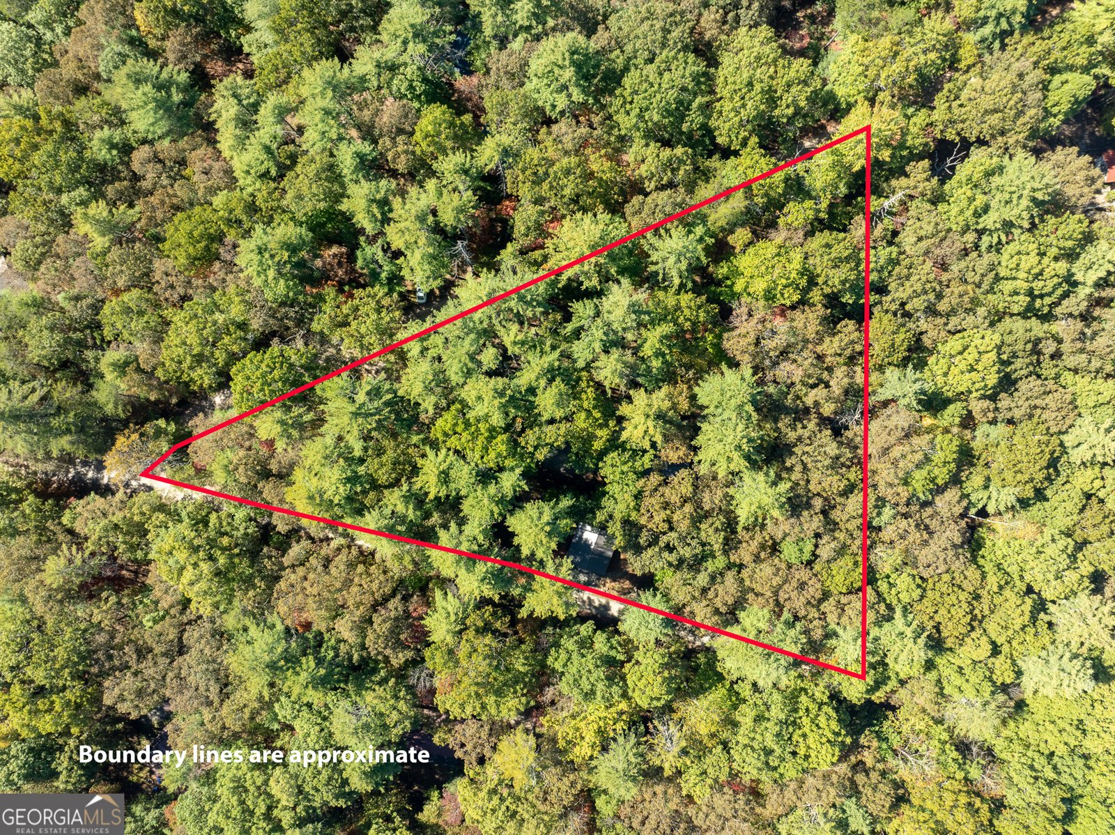 250 Chinkapin Drive Blue Ridge - 28