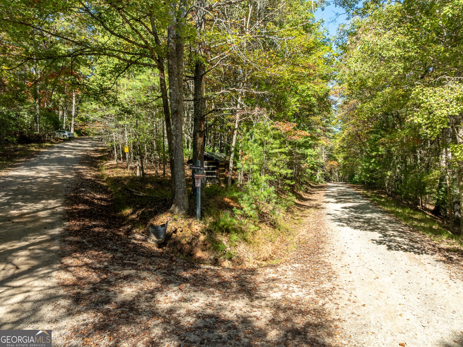 250 Chinkapin Drive Blue Ridge - 29