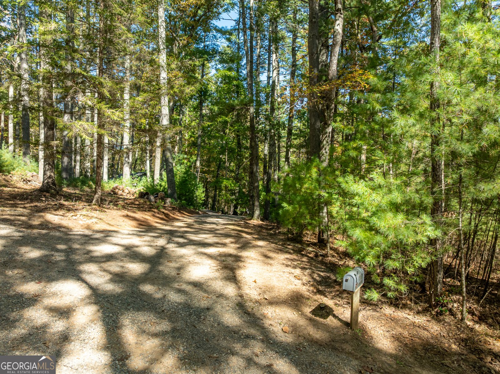 250 Chinkapin Drive Blue Ridge - 30