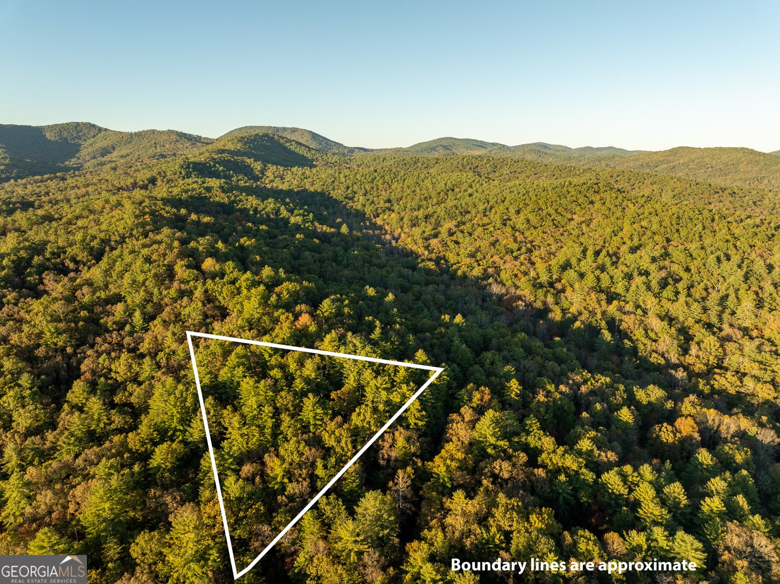 250 Chinkapin Drive Blue Ridge - 40