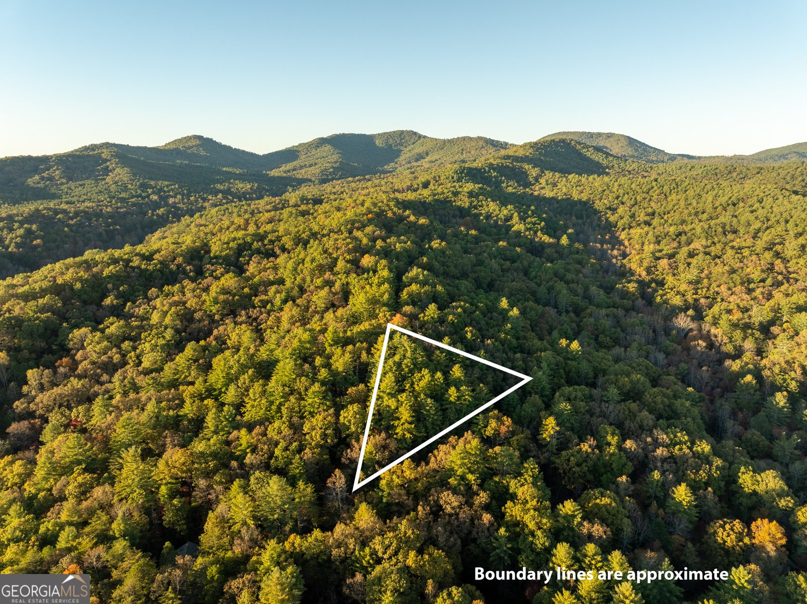 250 Chinkapin Drive Blue Ridge - 41