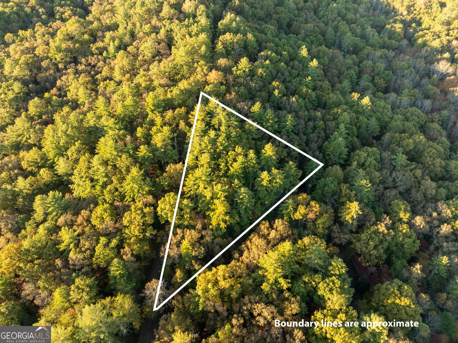 250 Chinkapin Drive Blue Ridge - 42