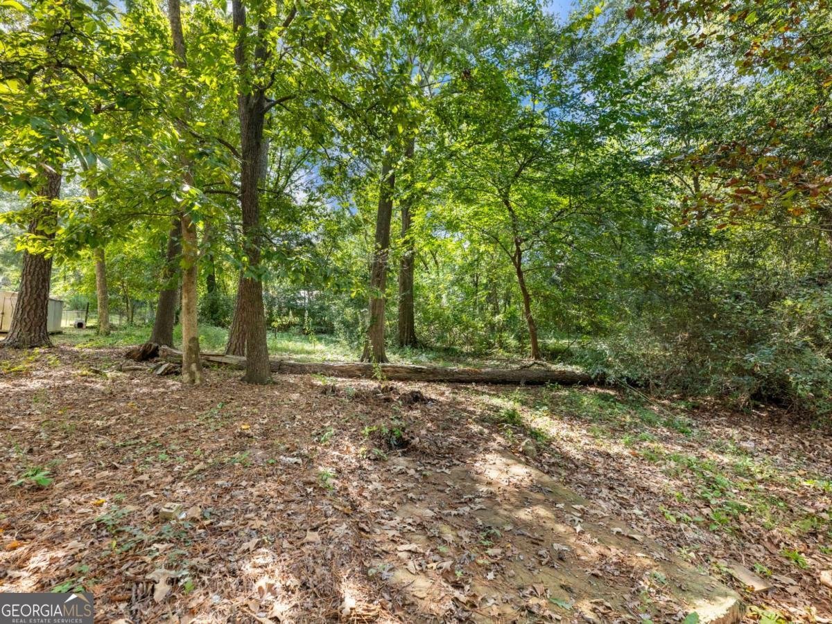 360 Cook Drive Athens - 14